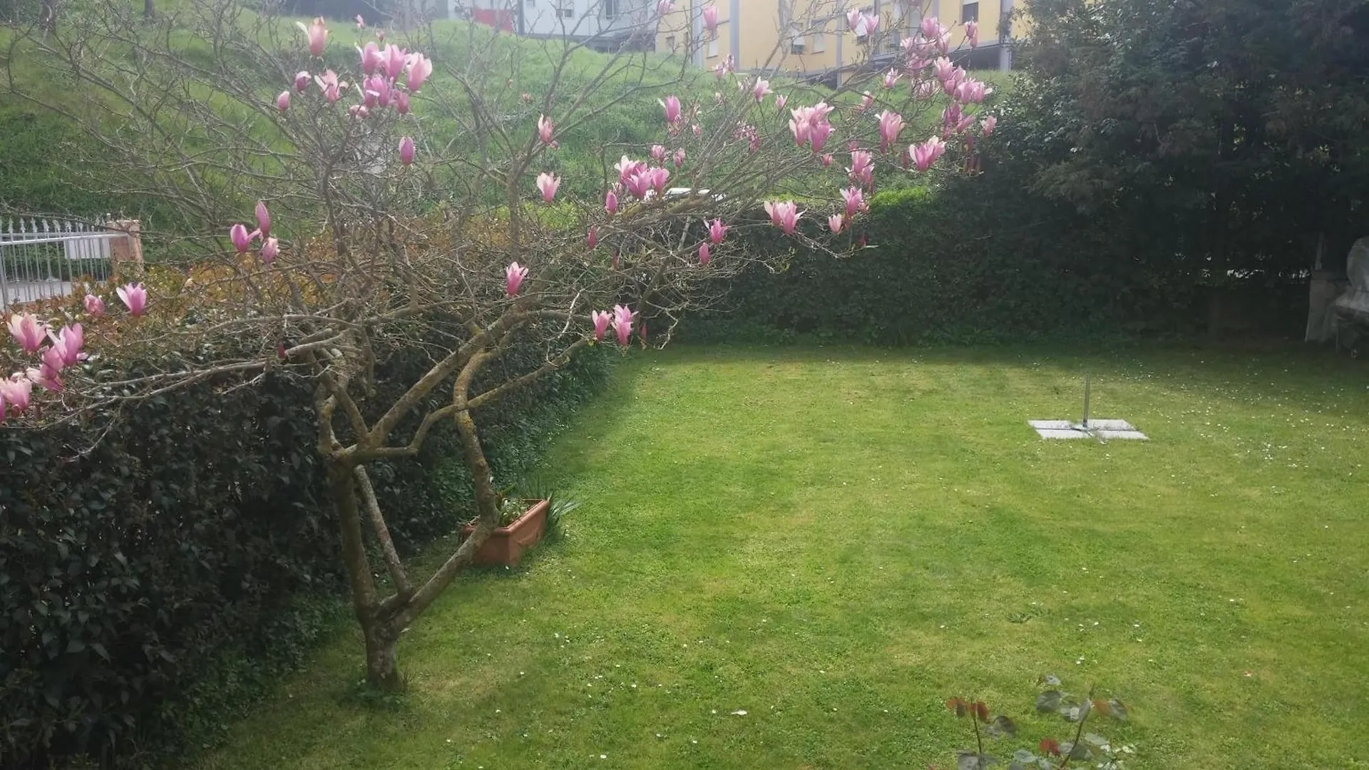 Casa Il Sogno Apartment Vezzano Ligure